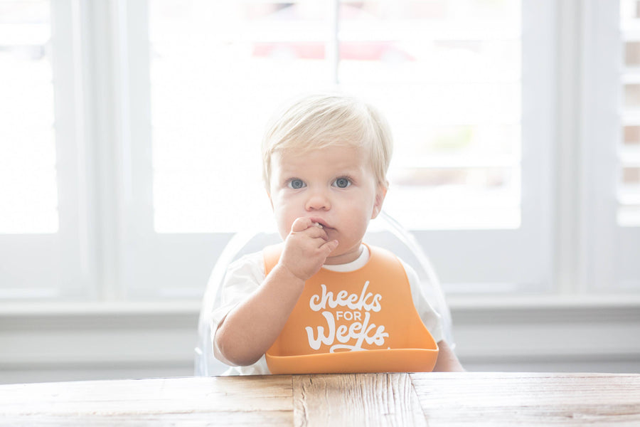 Cheeks For Weeks Wonder Bib - Pink and Brown Boutique