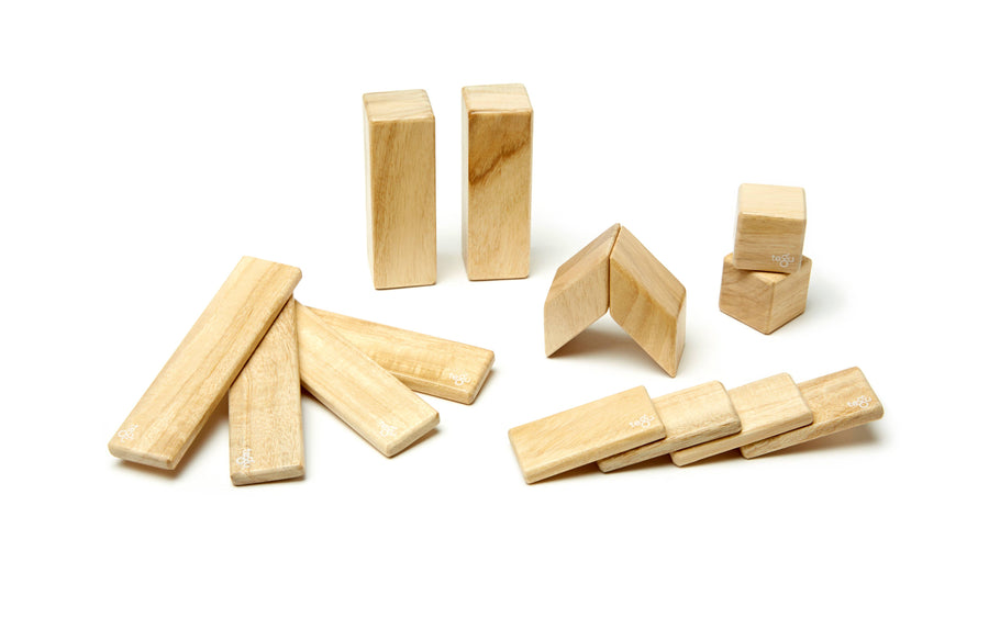 14 Piece Magnetic Wooden Block Set