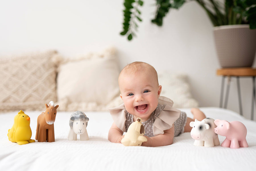 Puppy Natural Organic Rubber Teether, Rattle & Bath Toy - Pink and Brown Boutique