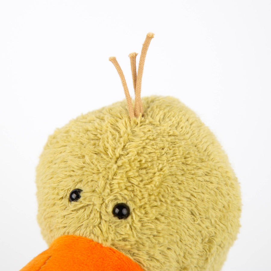 Silly Duck - by Sandra Boynton - Pink and Brown Boutique