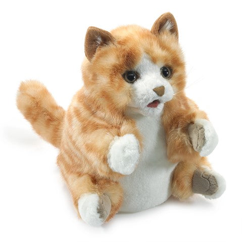 PUPPET ORANGE TABBY