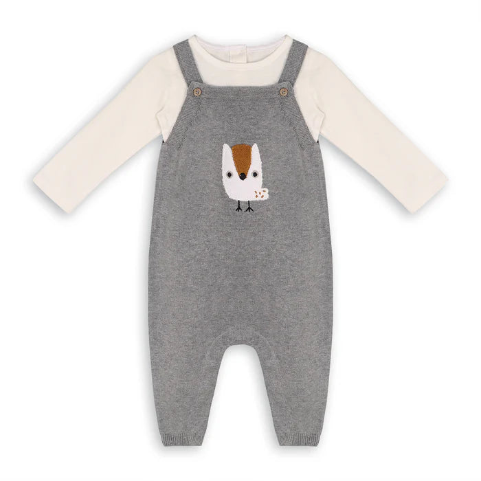 OWL ORGANIC KNIT OVERALL & BODYSUIT SET