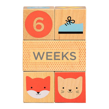 MILESTONE BABY BLOCKS