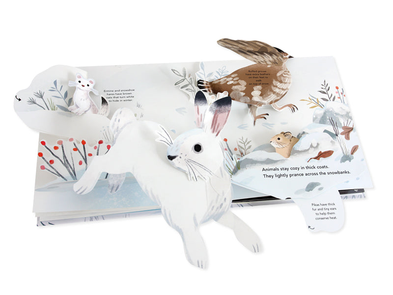 SNOWSCAPE POP UP BOOK