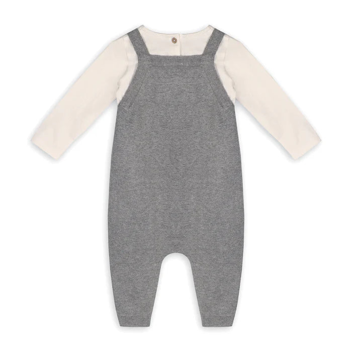 OWL ORGANIC KNIT OVERALL & BODYSUIT SET