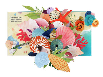 SHELLS POP UP BOOK