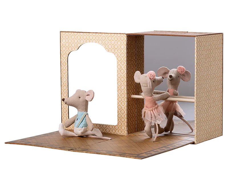BALLET MICE IN DANCE STUDIO