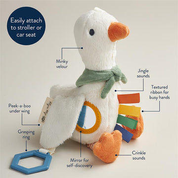 CHICK STROLLER TOY