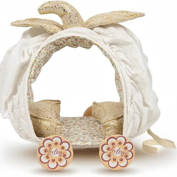 PUMPKIN CARRIAGE MOUSE