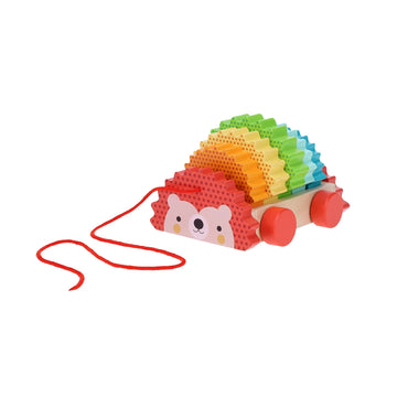 RAINBOW HEDGEHOG WOODEN PULL TOY