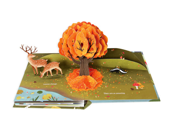 LEAVES POP UP BOOK