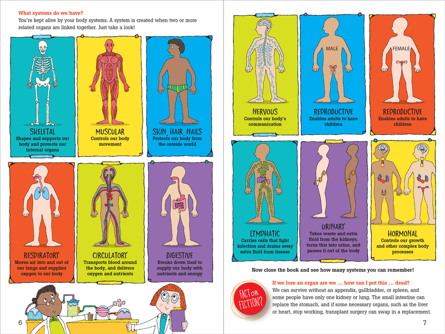 100 Questions About the Human Body - Pink and Brown Boutique
