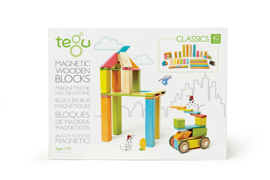 42 Piece Magnetic Wooden Block Set