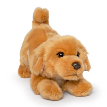 Golden Retriever Playful Pup - Pink and Brown Boutique