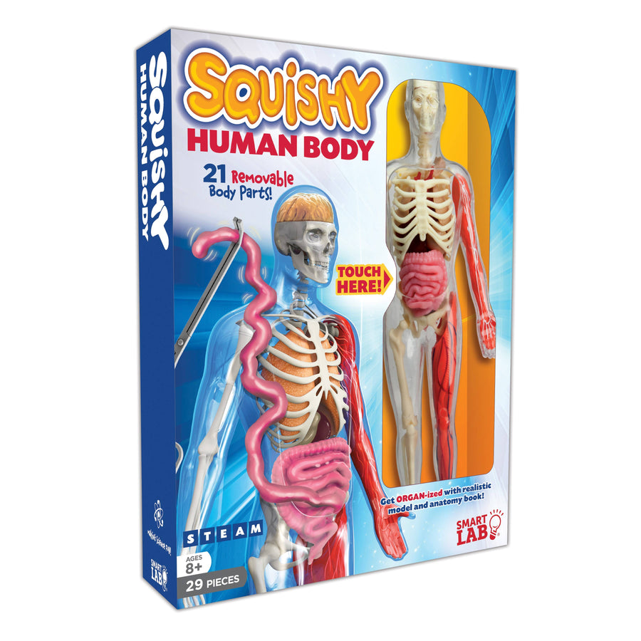 Squishy Human Body - Pink and Brown Boutique
