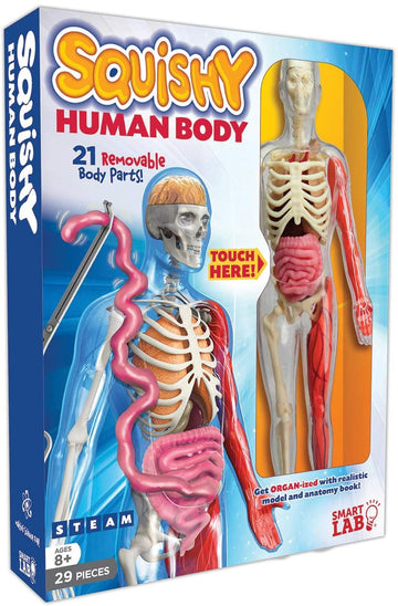 squishy human body - Pink and Brown Boutique