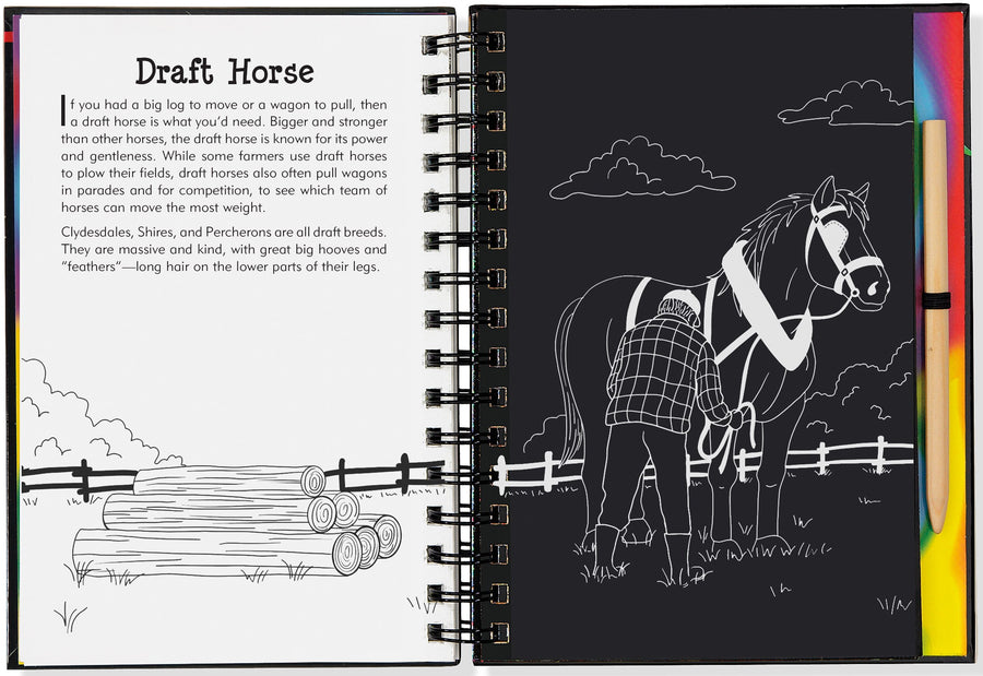 horses scratch and sketch - Pink and Brown Boutique